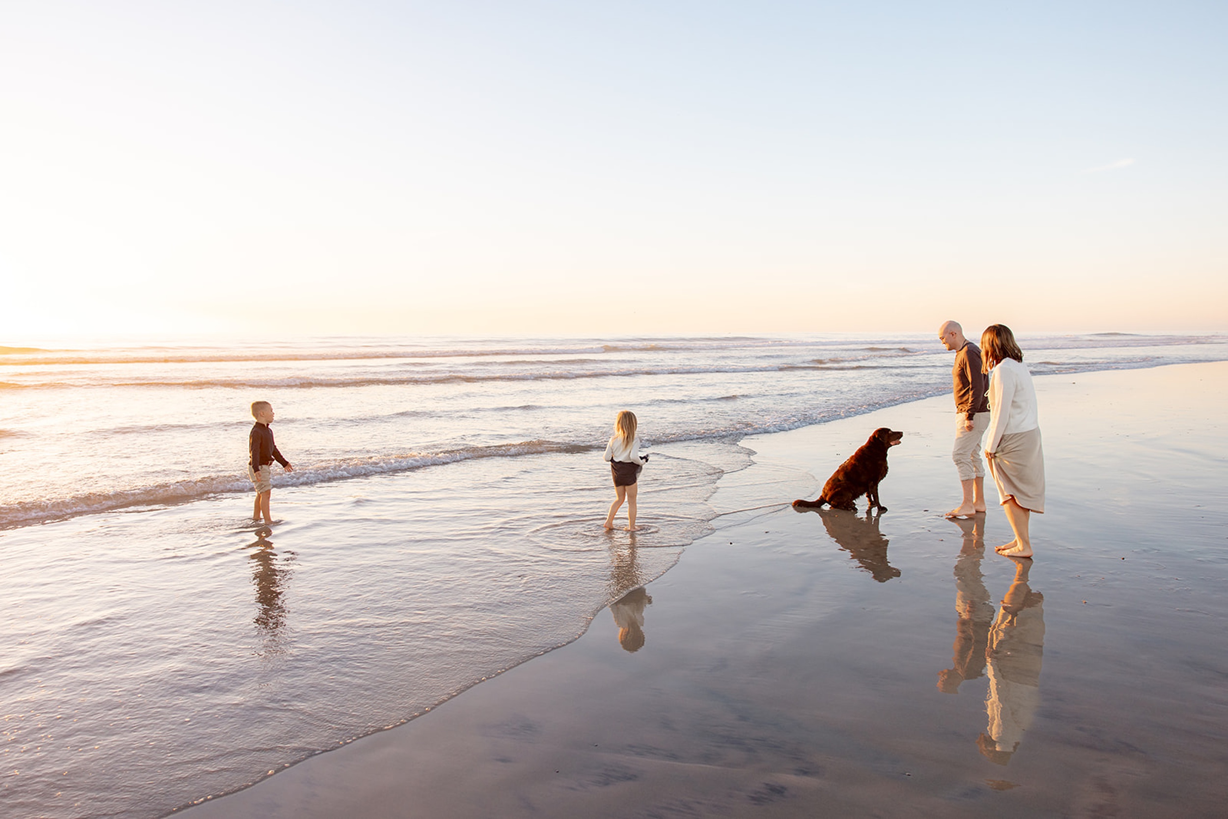 A happy family of 4 play on a beach with their dog