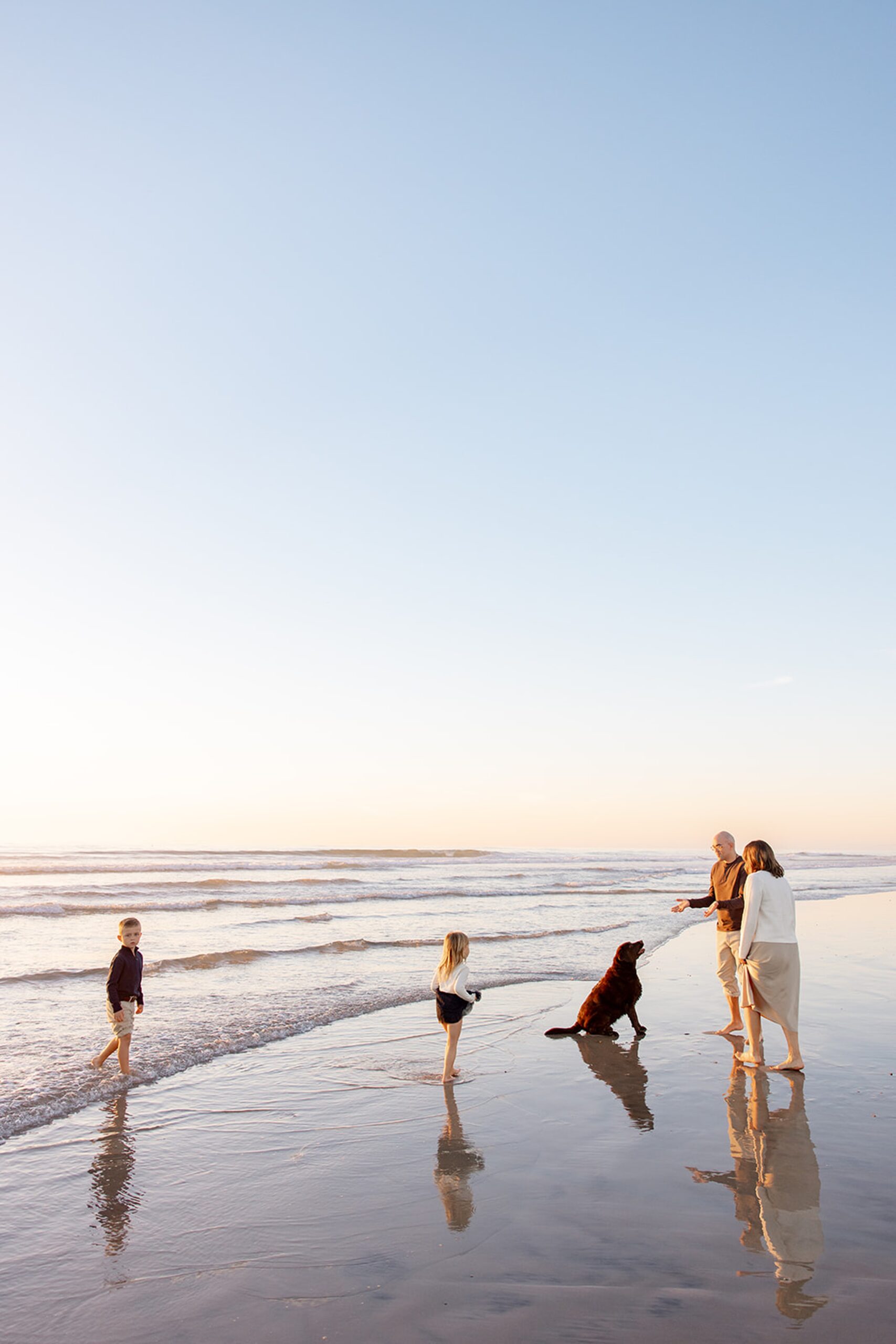 A family of four play on a beach with their brown dog at sunse during fun things to do in San Diego with kids