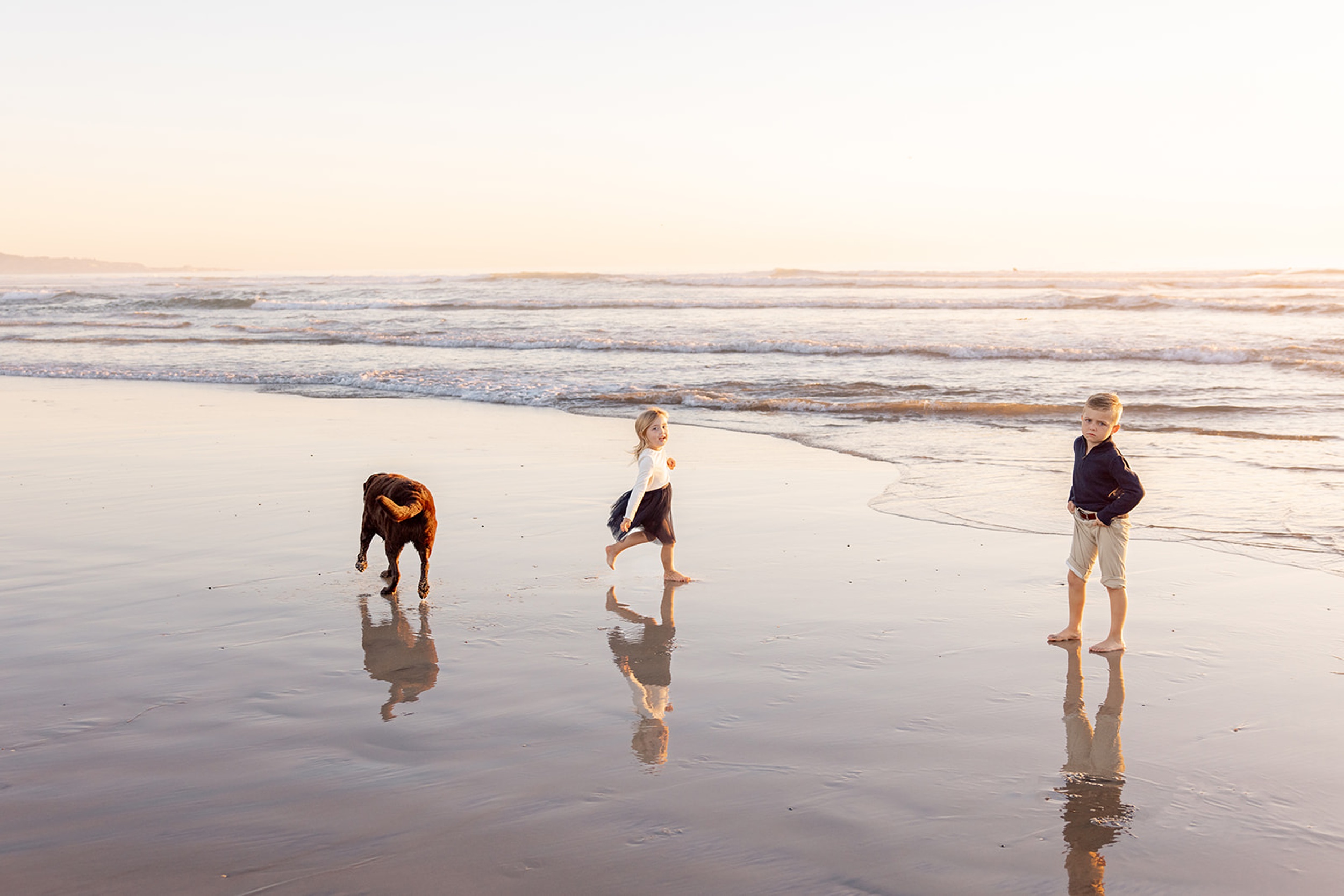 Toddler brother and sister runa nd play on a beach with their brown dog before some 4th of July events in San Diego